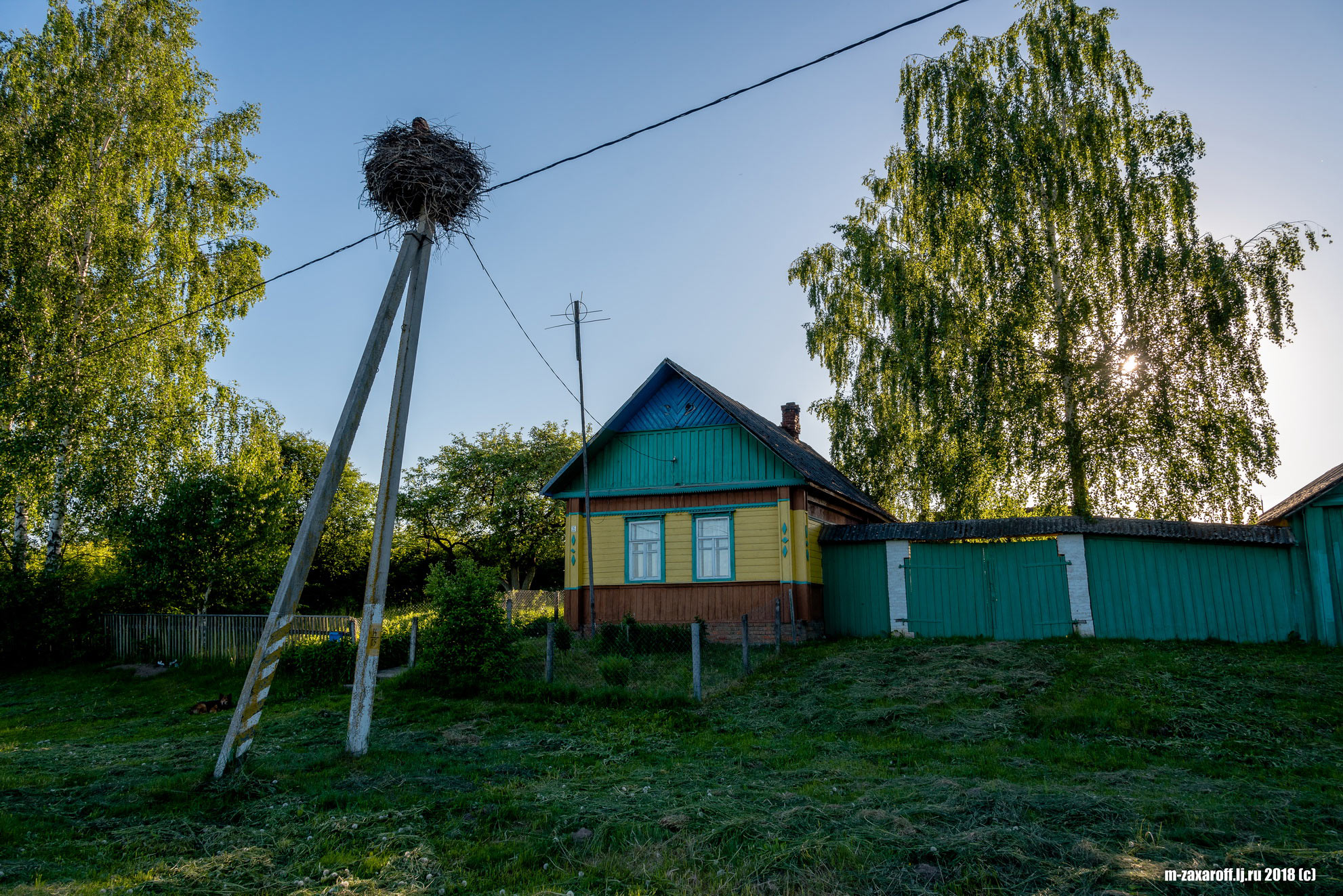 Bel (Бель)